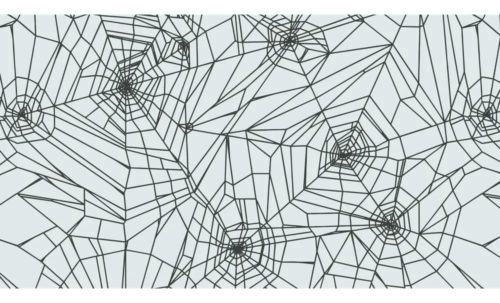Spiderweb